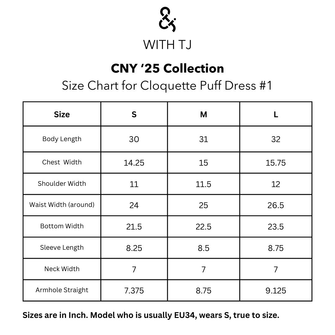 Coquette Puff Sleeves Dress