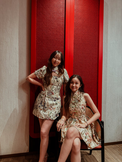 Coquette Puff Sleeves Dress