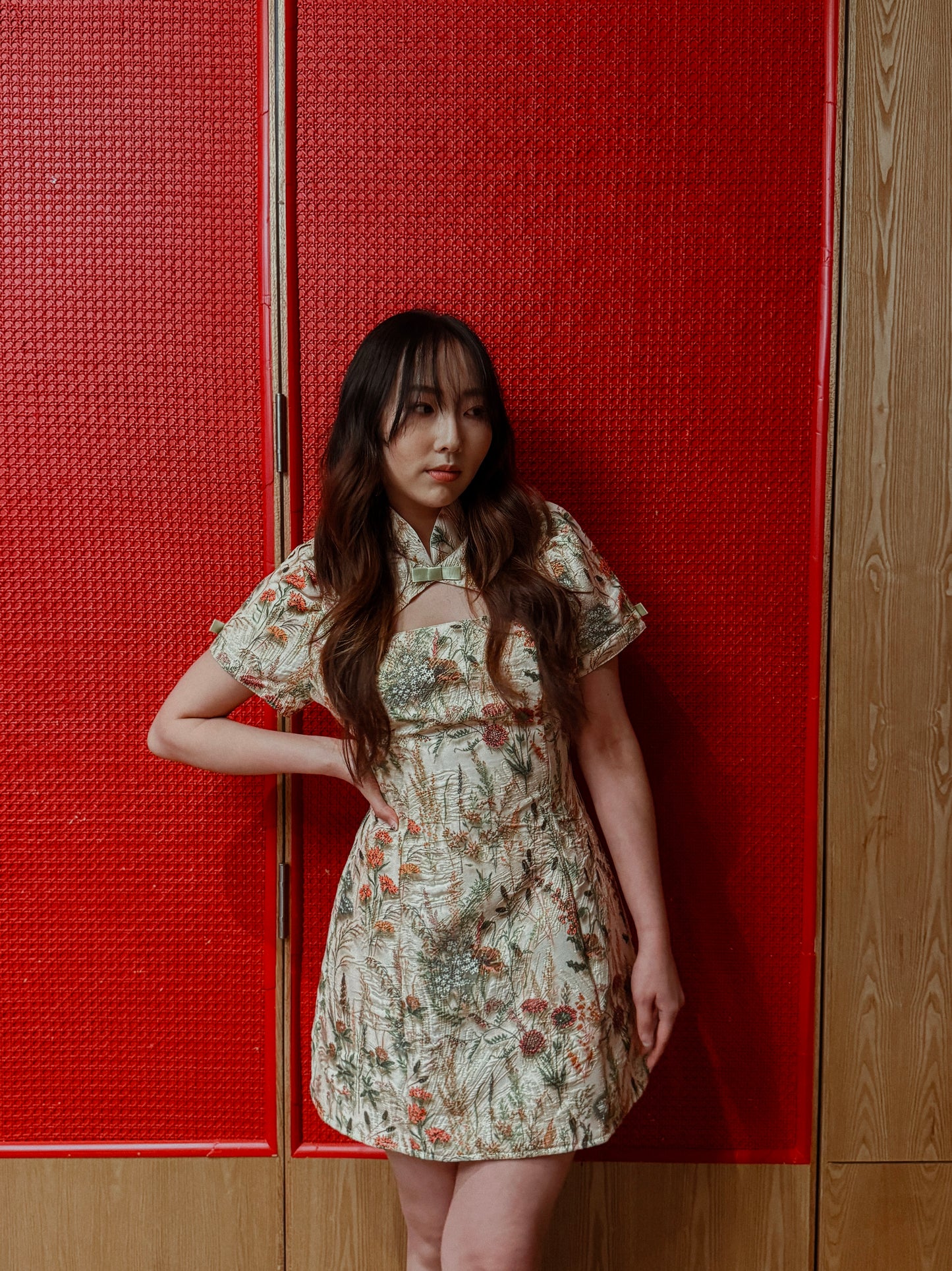 Coquette Puff Sleeves Dress