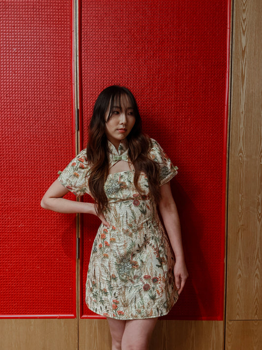 Coquette Puff Sleeves Dress