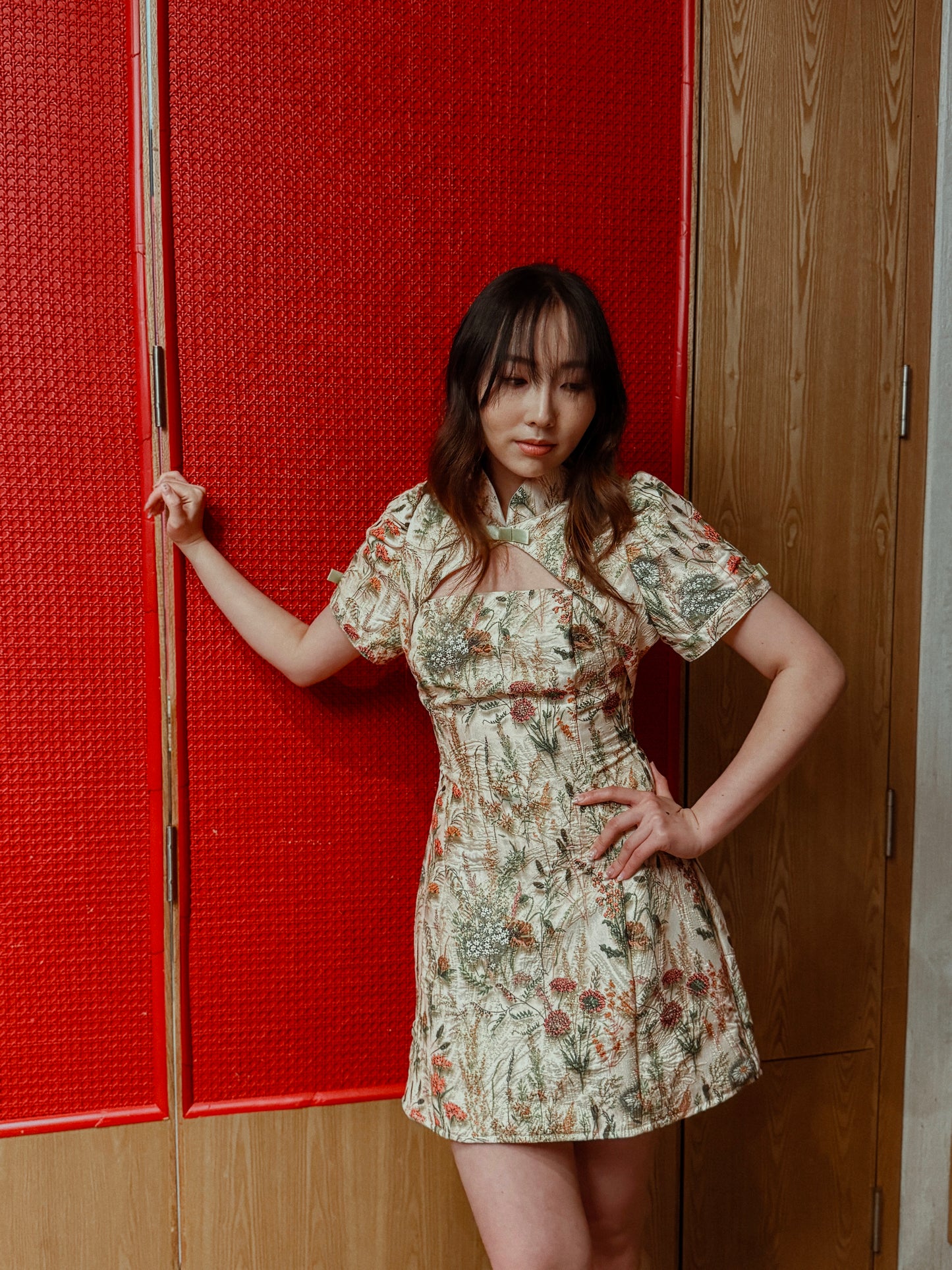 Coquette Puff Sleeves Dress